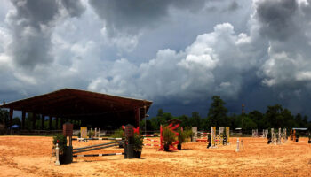 A horse is standing in the sand under a cloudy sky.