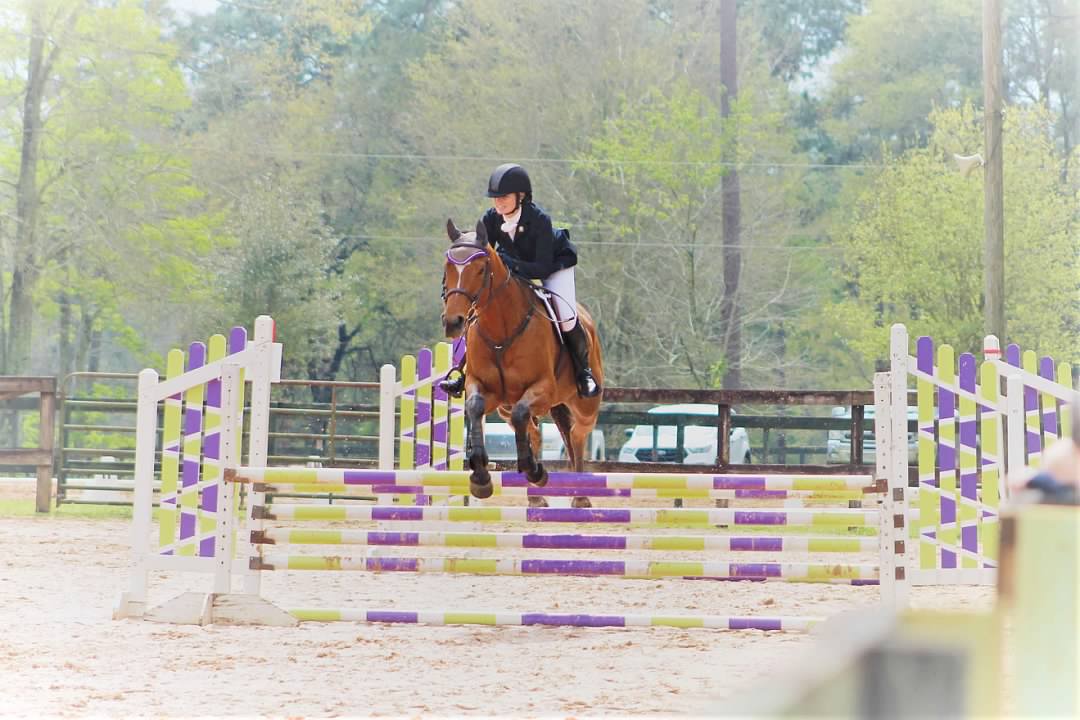 A person riding on the back of a horse.