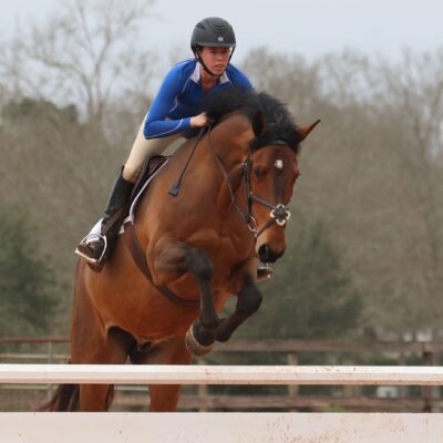 A person riding on the back of a brown horse.