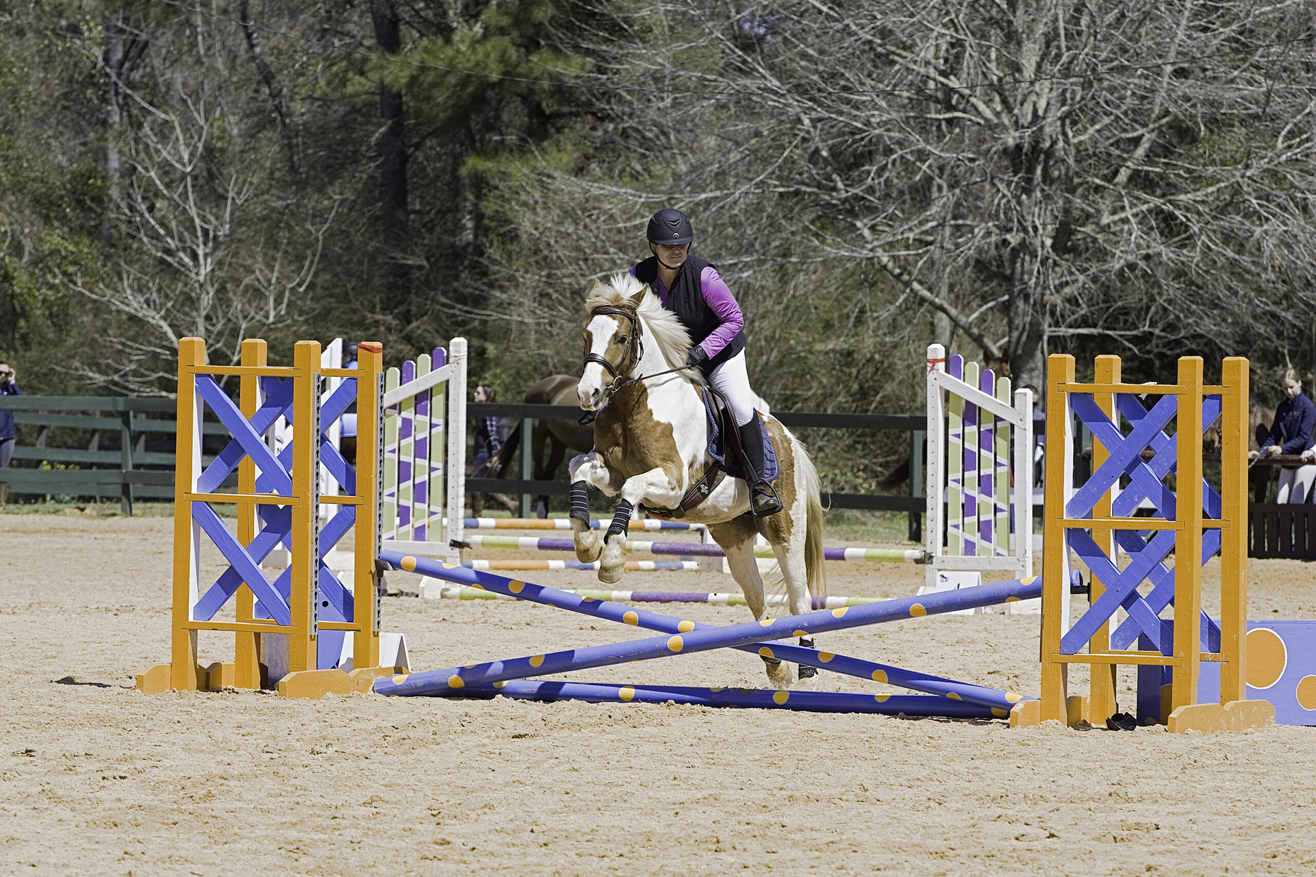 A person riding on the back of a horse jumping over an obstacle.