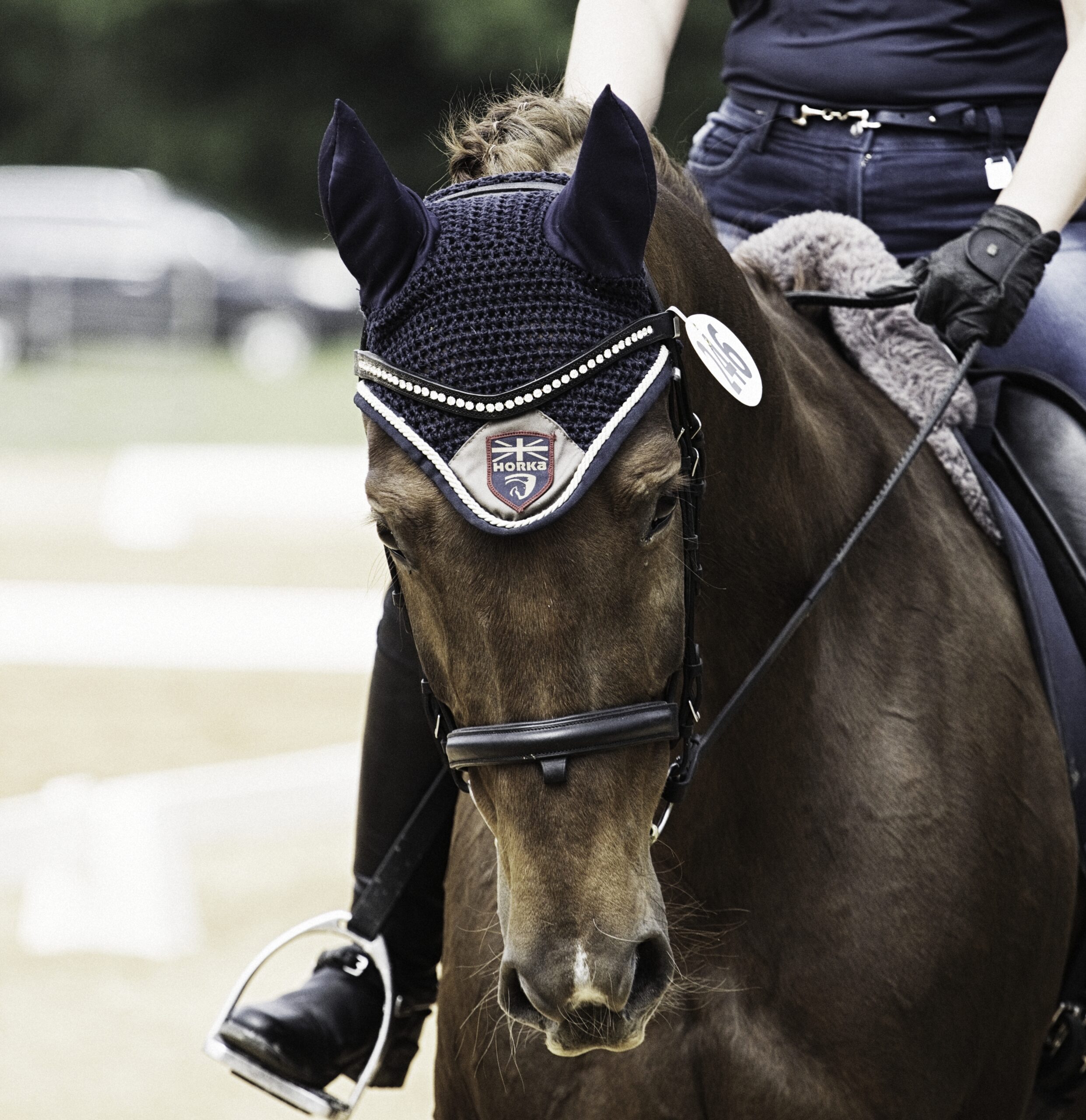 A person riding on the back of a horse.