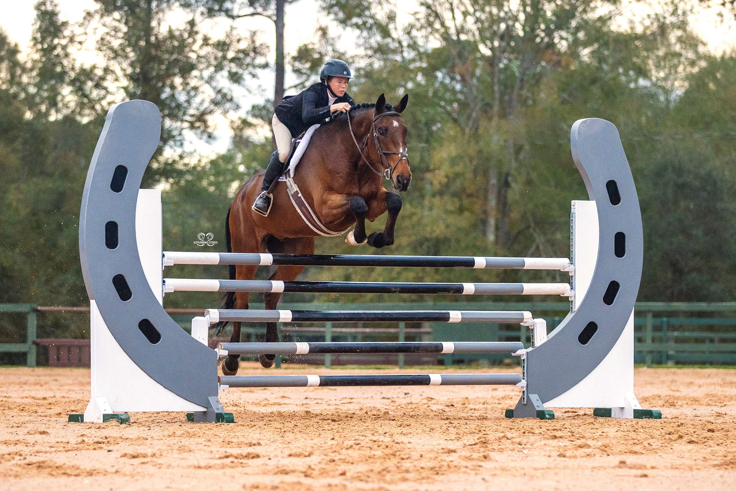 A person riding on the back of a horse jumping over an obstacle.