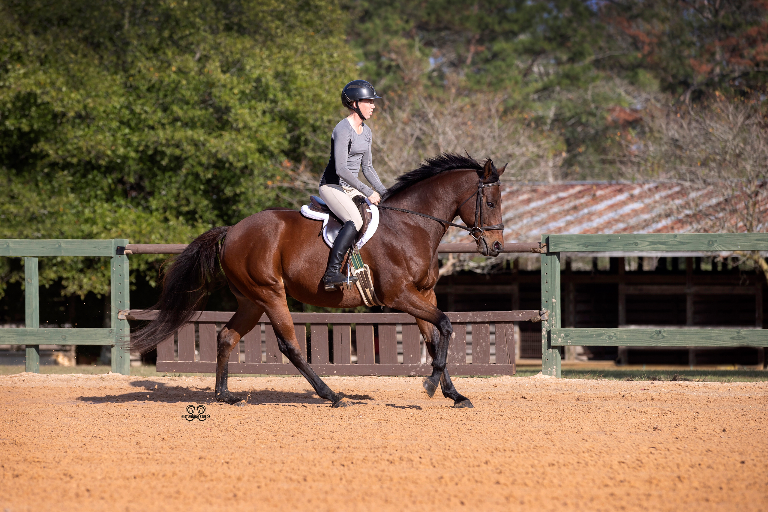 A person riding on the back of a brown horse.