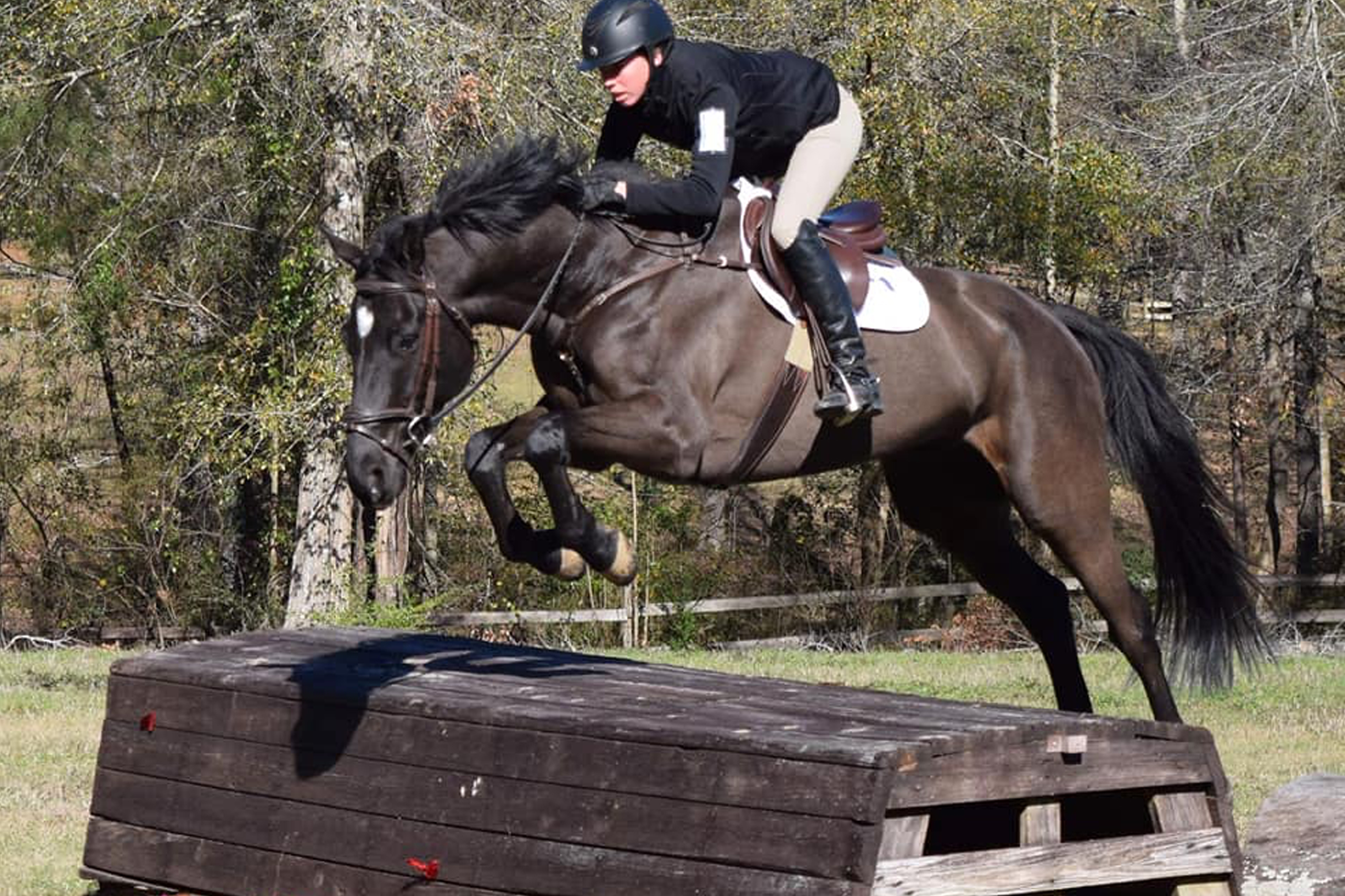 A person jumping over a wooden obstacle on a horse.