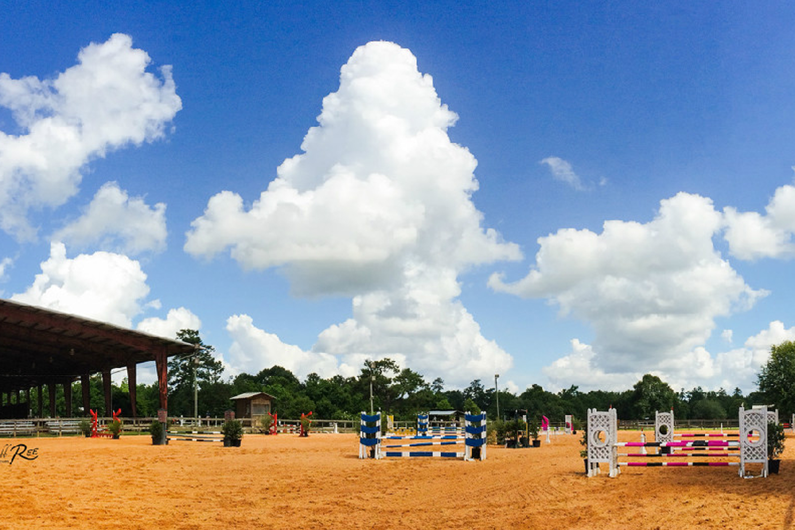 A horse jumping in an arena with a sky background